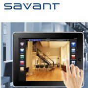   Savant